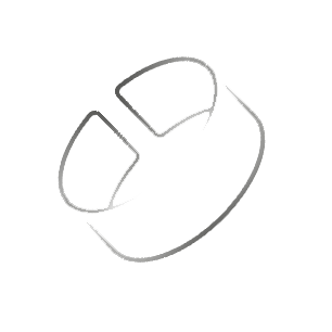 Party Pass Icon